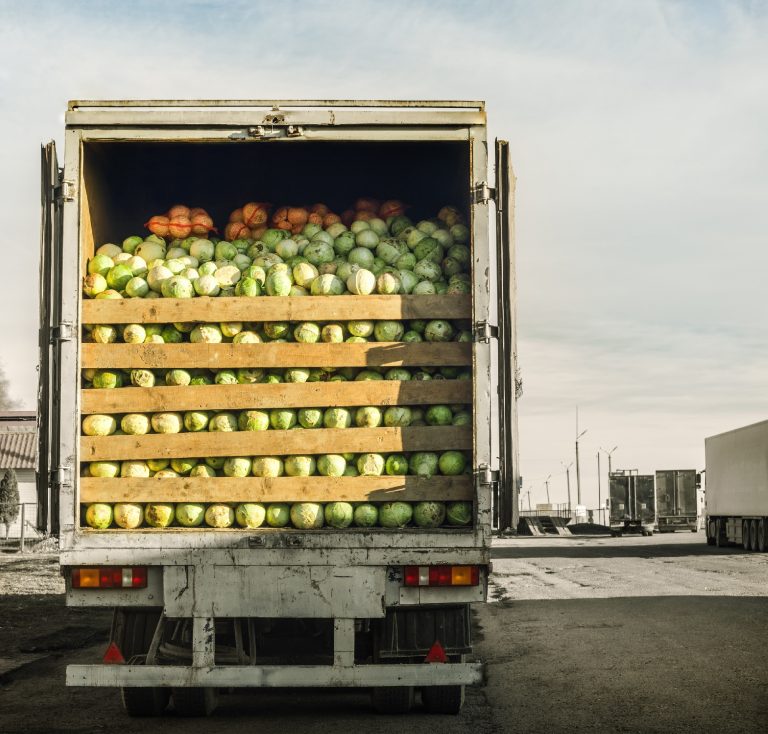 trailer laden with cabbage 492316094 5080x4853 1 768x734