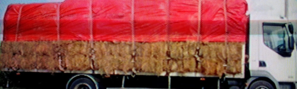 User banner image